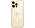 APPLE Custodia trasparente con MagSafe - Guscio di protezione (Adatto per modello: Apple iPhone 14 Pro Max)