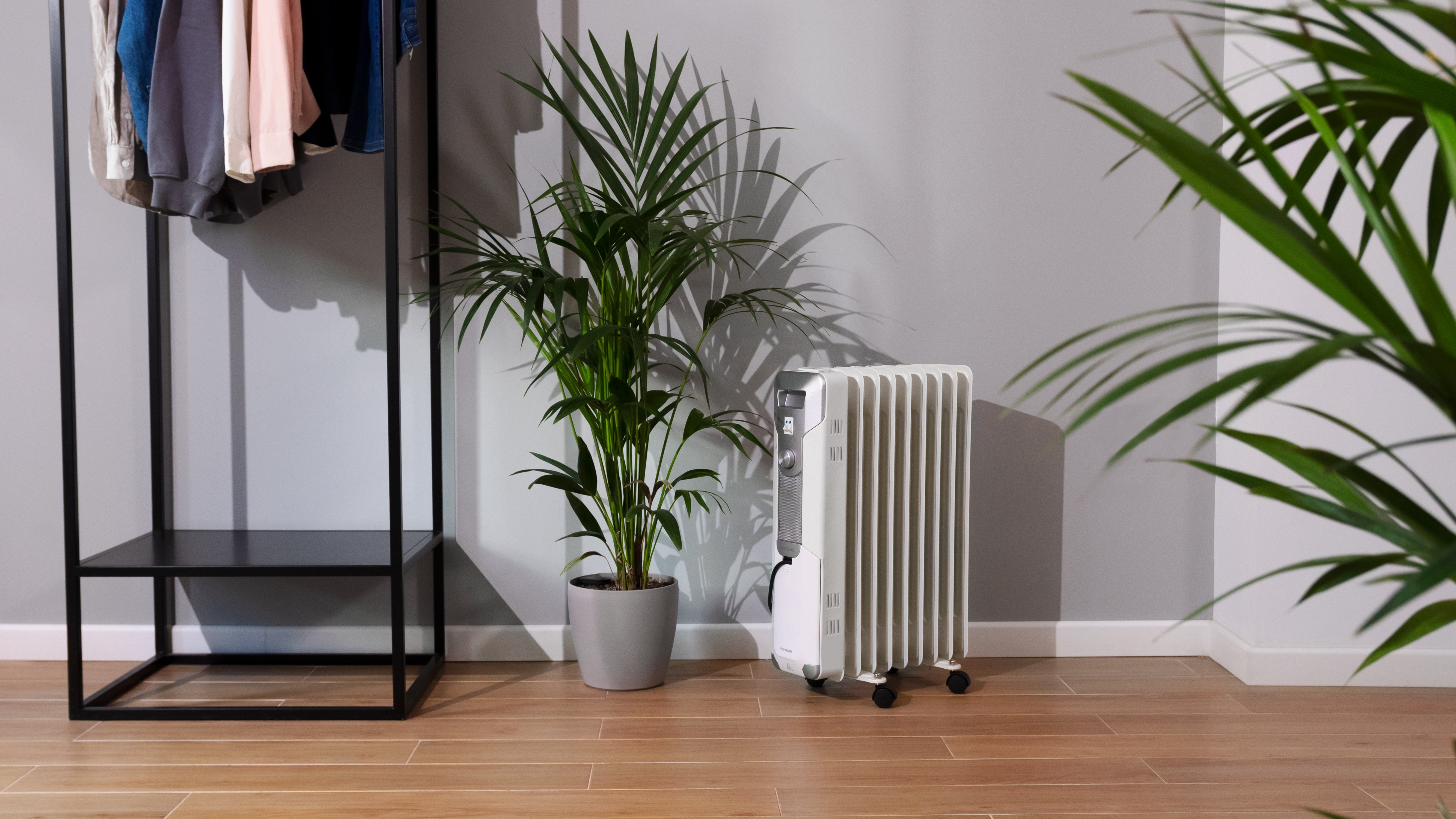 Habitación con calefactor, planta y perchero. Una planta a la derecha.