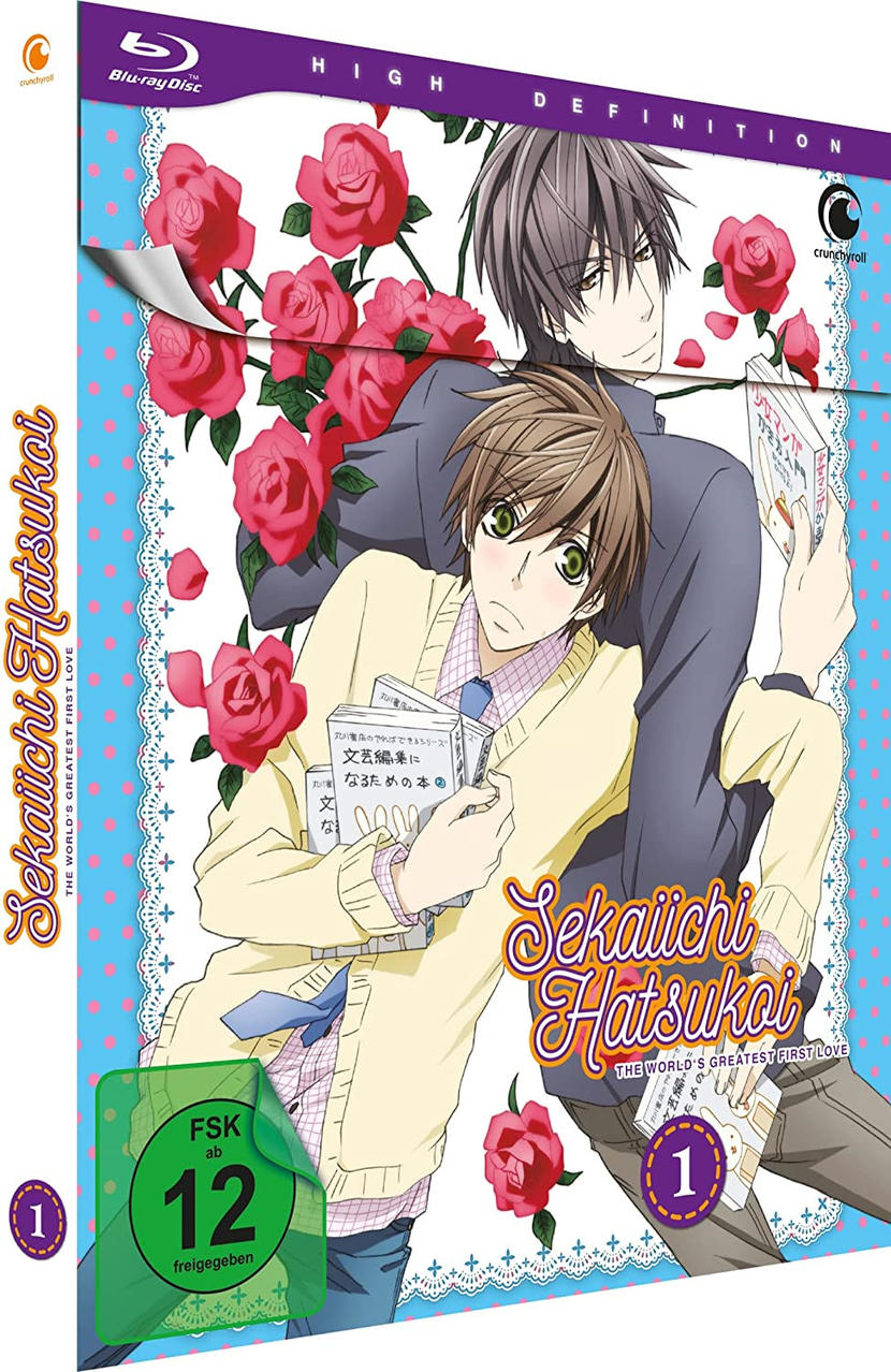 Anime-DVD-Cover mit zwei Charakteren, Rosen und Text.