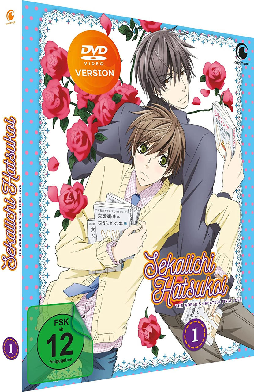 Anime-DVD-Box-Set. Zwei männliche Charaktere, einer hält Bücher. Rosen und Text auf der Box.