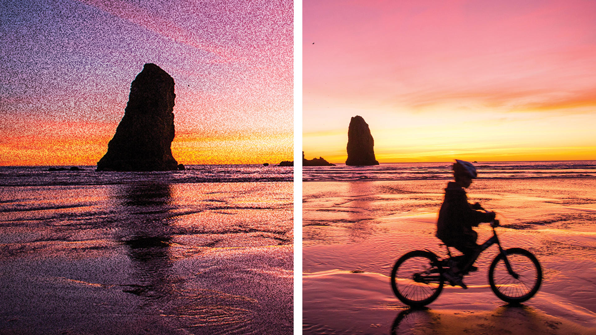 Adobe Photoshop Elements &  Adobe Premiere Elements 2023 - PC/MAC - Italiano