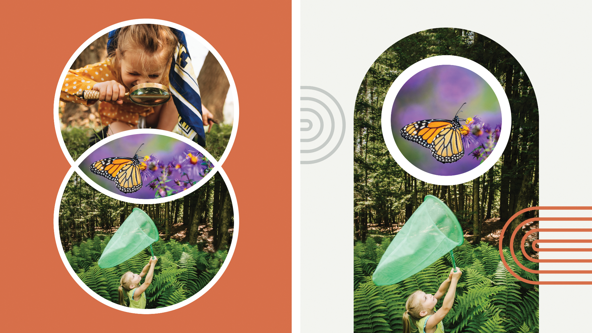 Adobe Photoshop Elements &  Adobe Premiere Elements 2023 - PC/MAC - Italiano