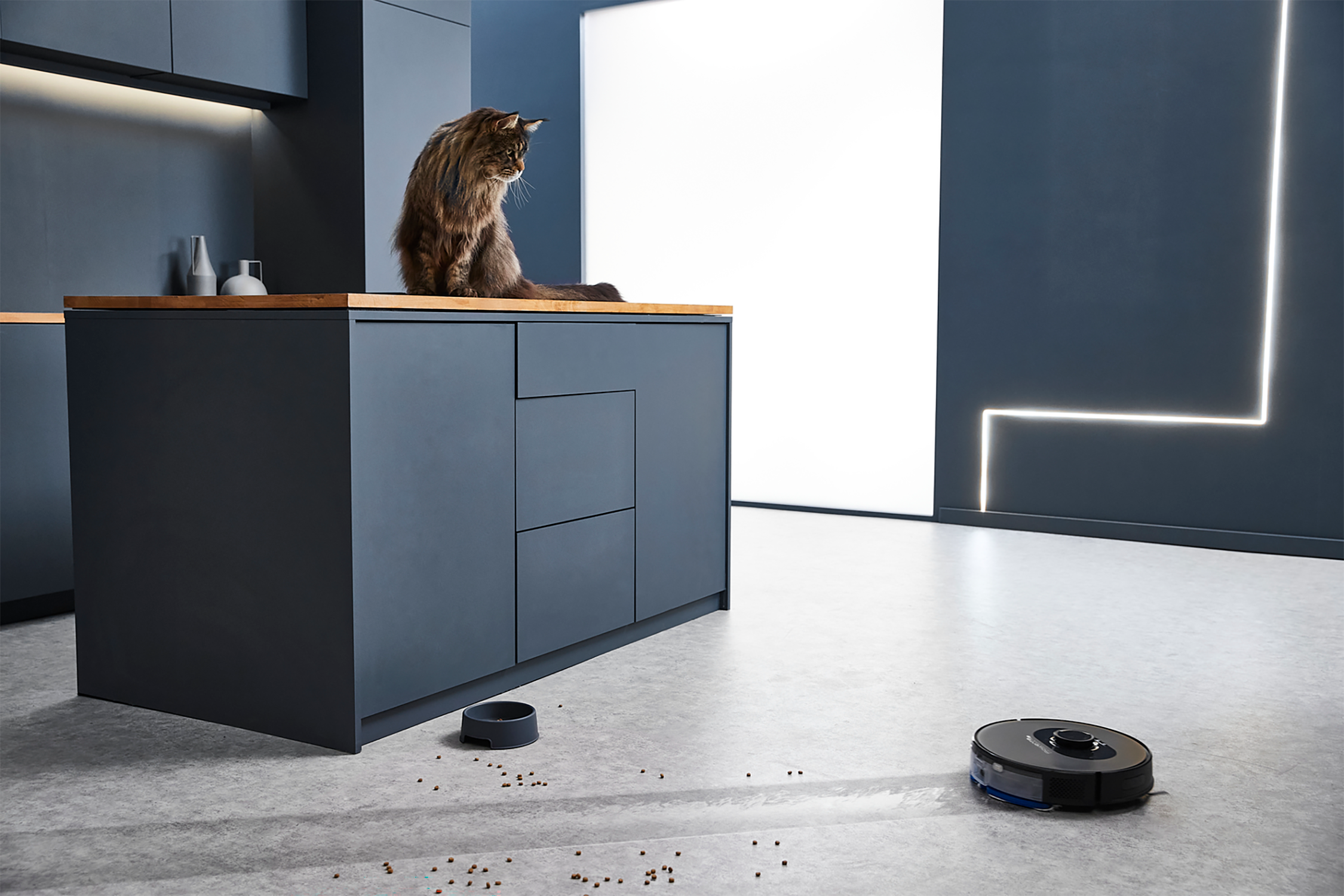 Een kat zit op een aanrecht, terwijl een robotstofzuiger op de vloer werkt.