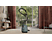 ELECTROLUX EB61C1OG Dammsugare - Ocean Green