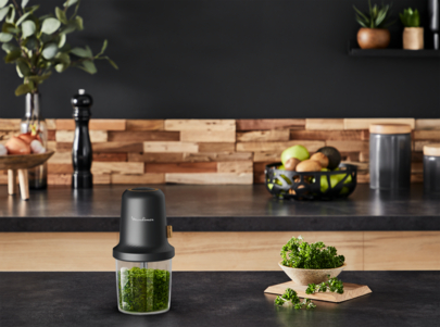 MOULINEX Hachoir Eco Respect (AT80E810)