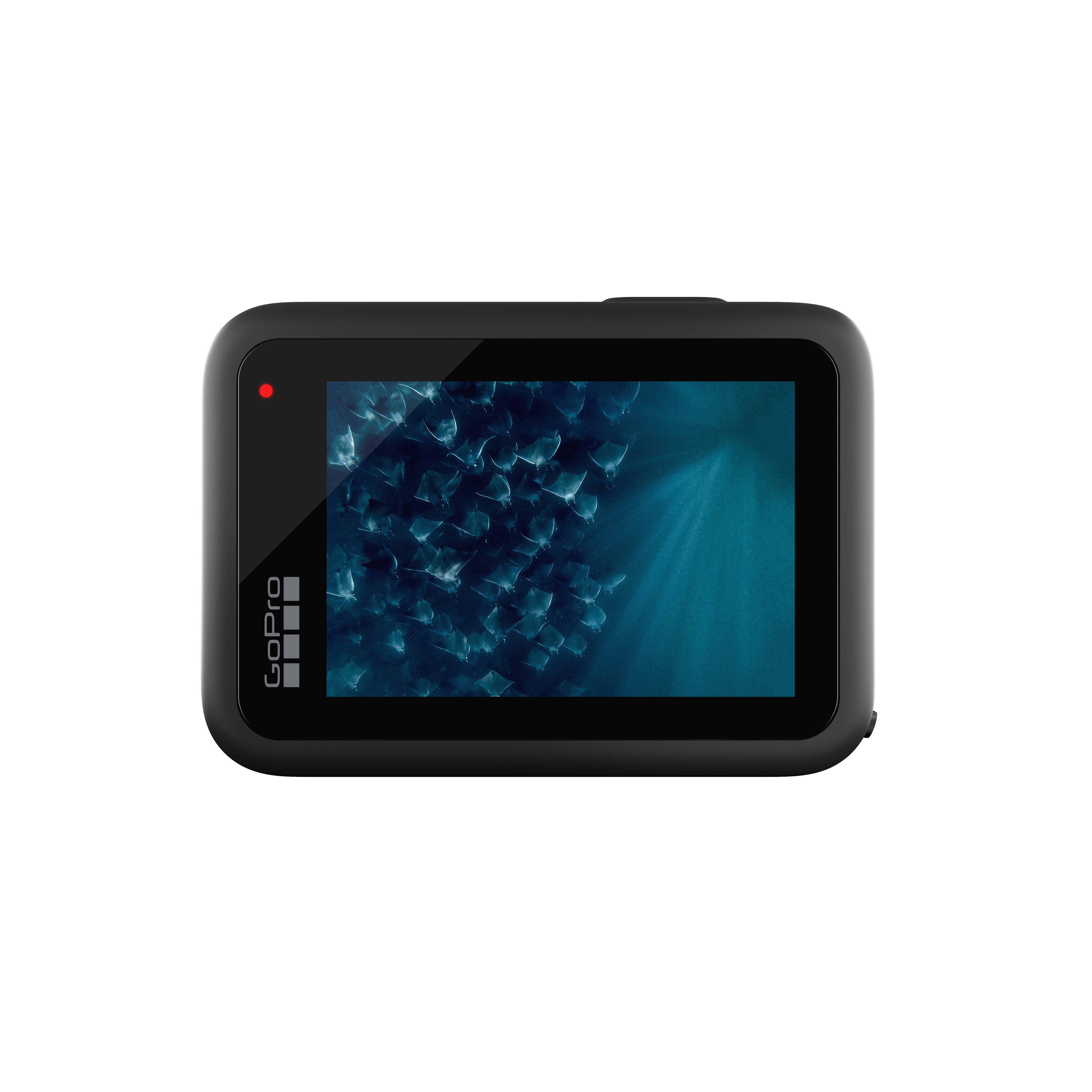 Schwarze Go Pro Action-Kamera mit einem Bildschirm, der eine Unterwasserszene zeigt.