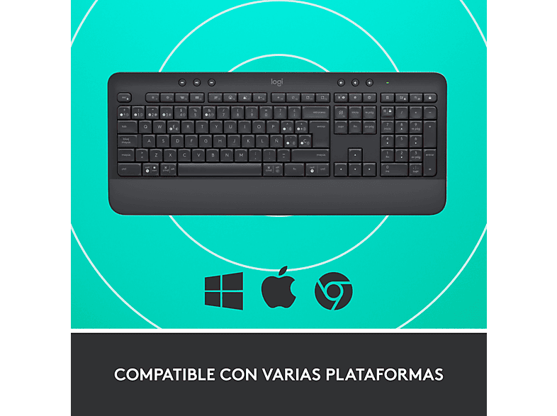 Vista 2