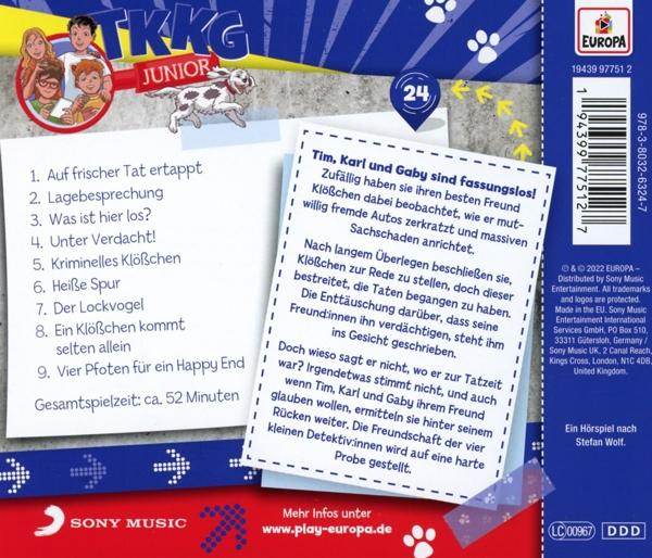 Rückseite des TKKG Junior Buches mit Text und Illustrationen.