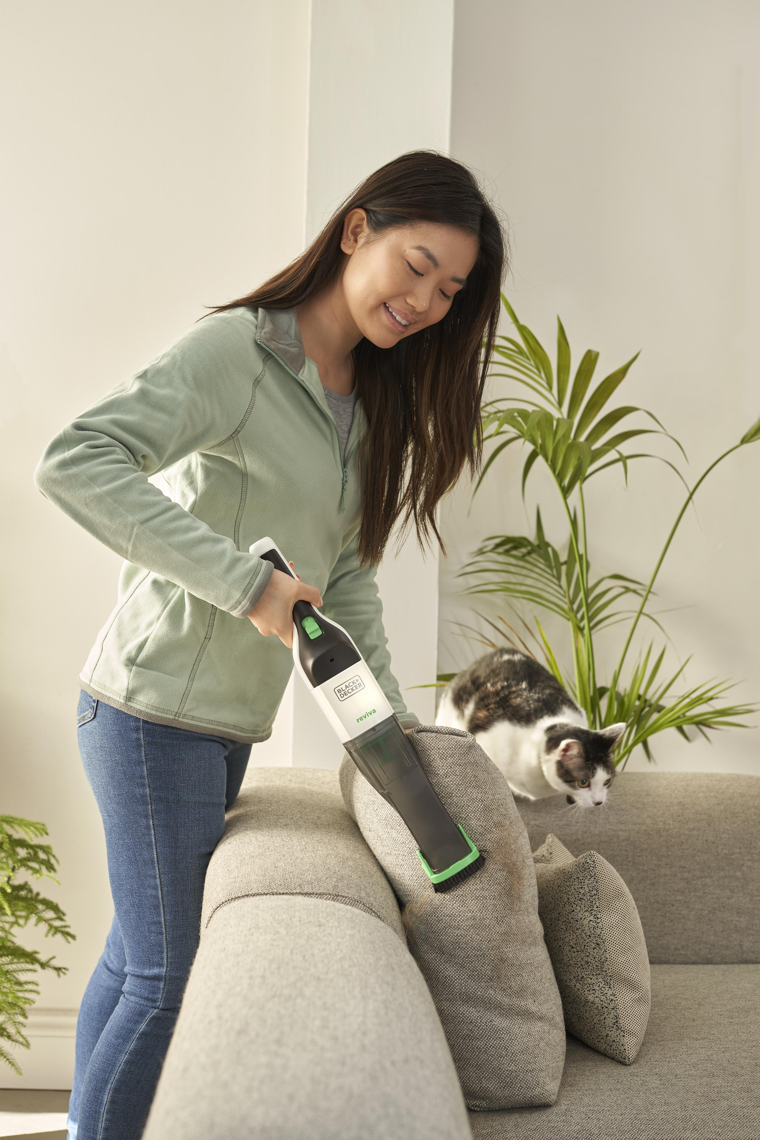 Frau, die mit einem schwarz-grünen Handstaubsauger ein graues Sofa absaugt, Katze anwesend.