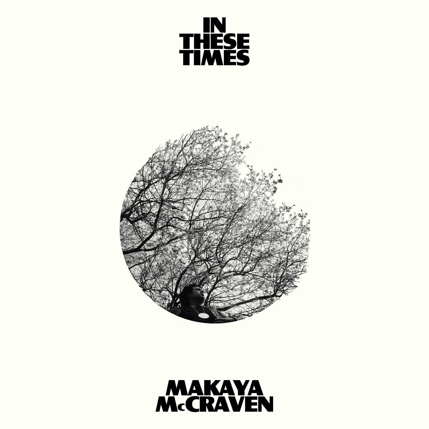 Pochette d'album avec un arbre à l'intérieur d'un cercle.