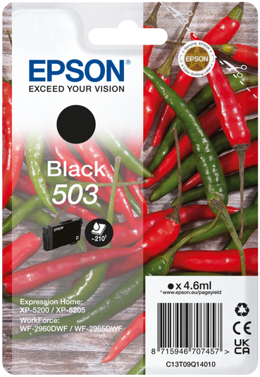 Epson Tintenpatronenverpackung. Enthält schwarze Tintenpatrone und Chili.