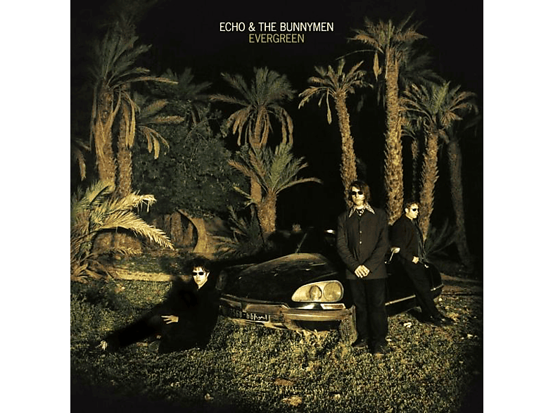 Anniversary The - & Evergreen (25 Edition) - Echo (Vinyl) (LP Bunnymen Year White)