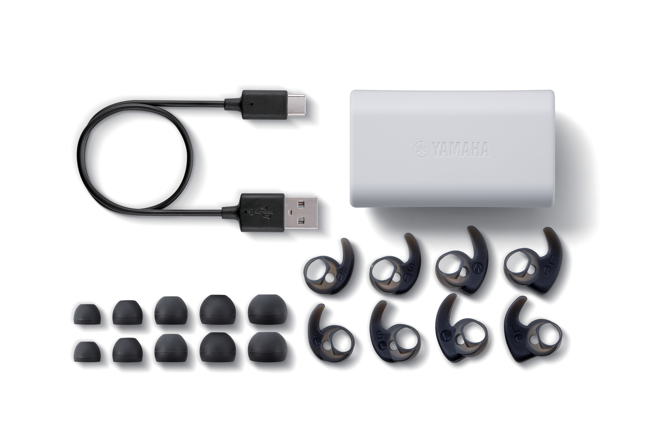 Ohrhörer, Ladecase und Zubehör auf Weiß. Ohrstöpsel in verschiedenen Größen, ein USB-C-Kabel und ein USB-Kabel.