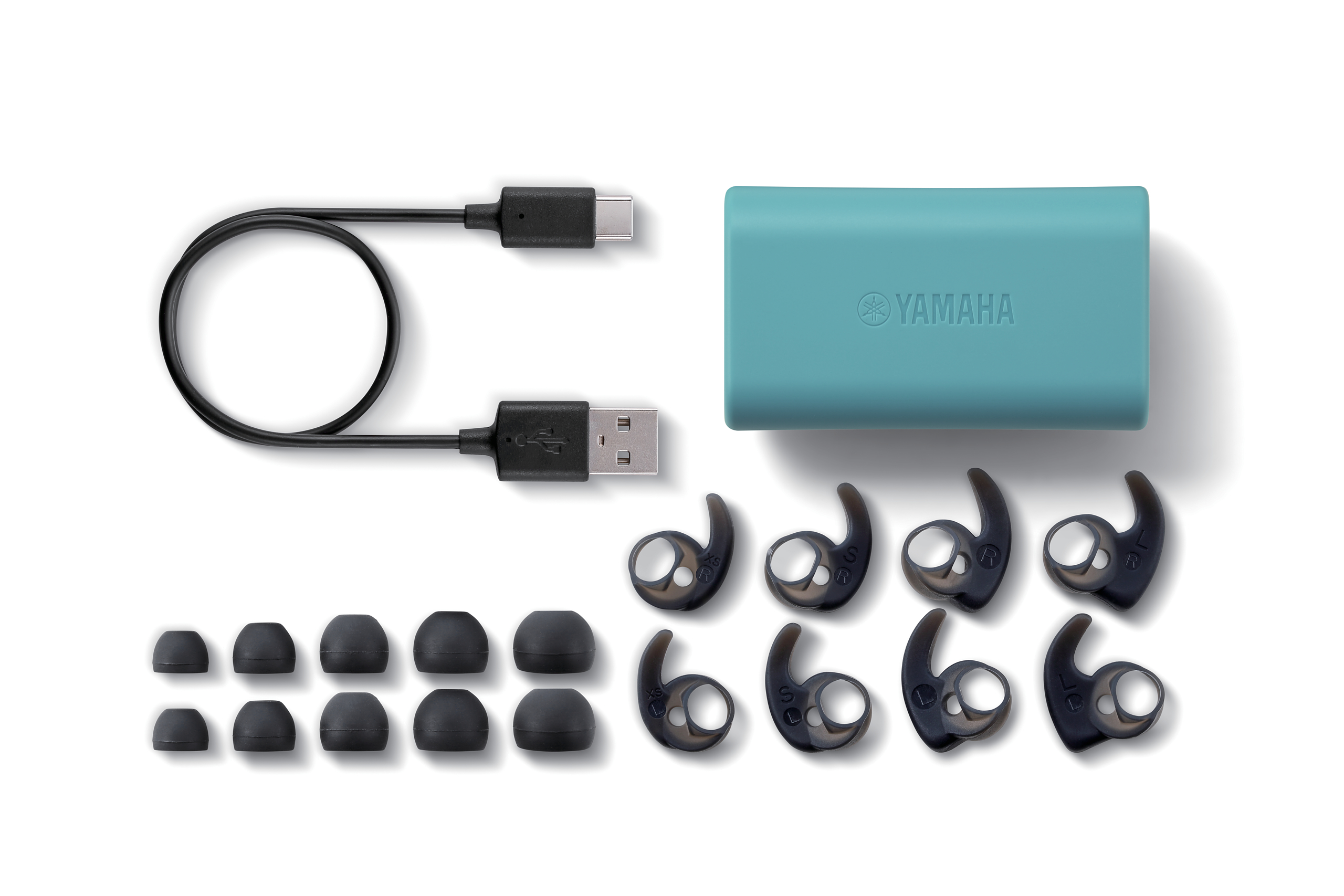 Ohrhörer und Zubehör. Ohrhörer, Etui und zusätzliche Ohrstöpsel mit USB-C-Kabel.