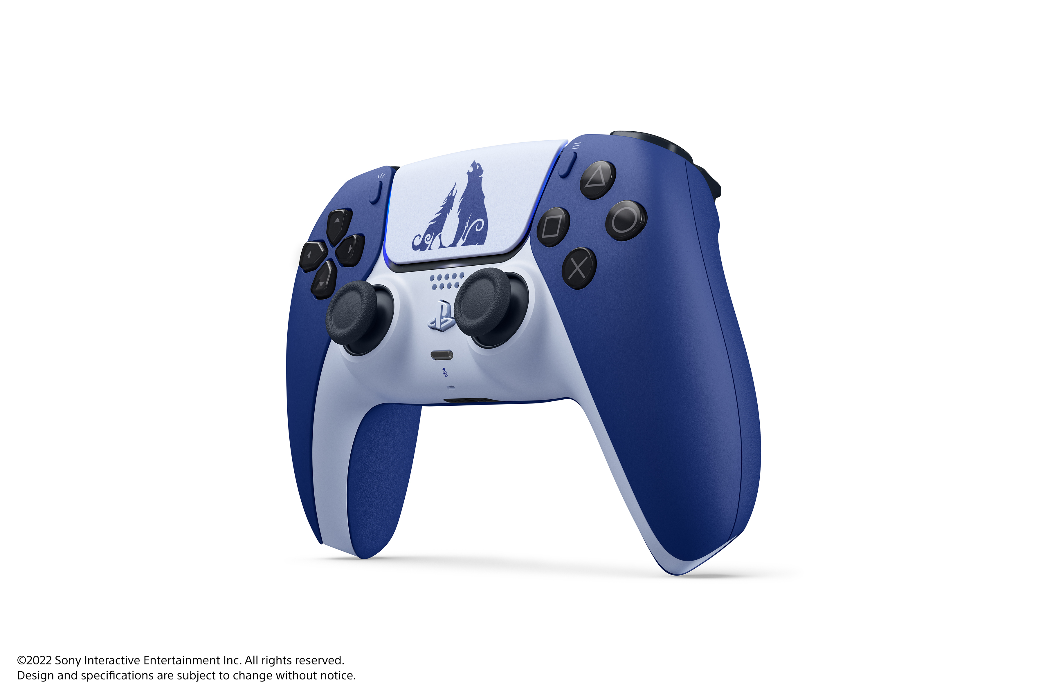 Ein blau-weißer Playstation 5 Controller.