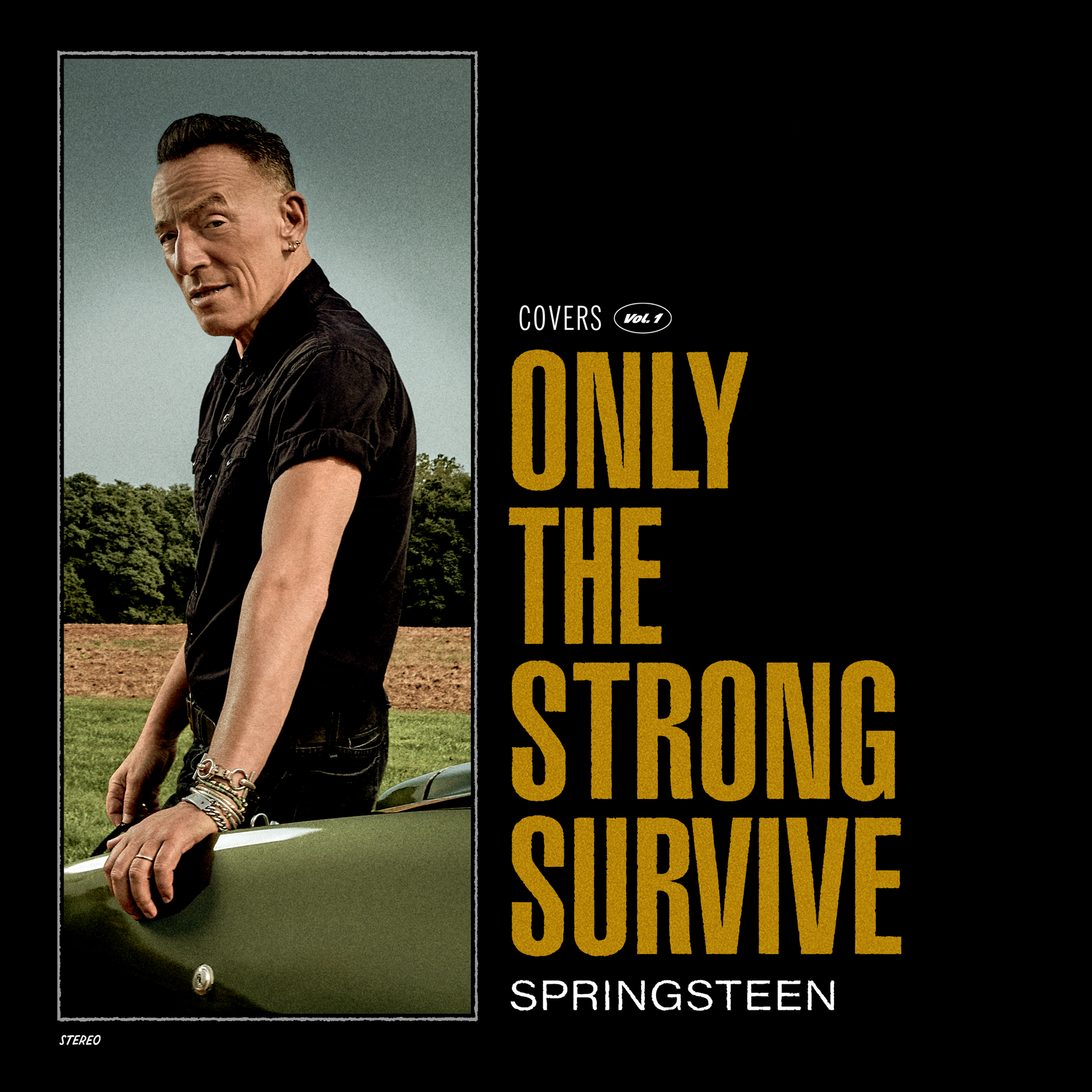 Bruce Springsteen Strong (Vinyl) the - Survive - Only
