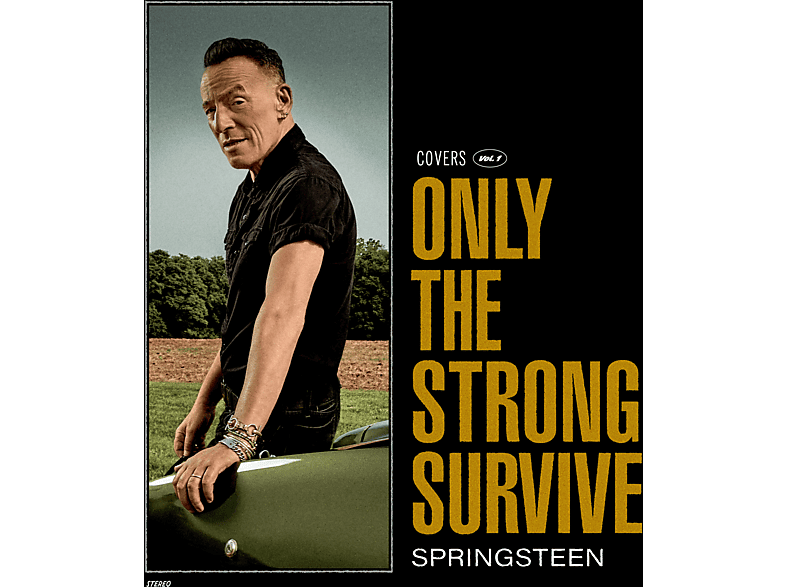 Bruce Springsteen - Only the Strong Survive  - (Vinyl)