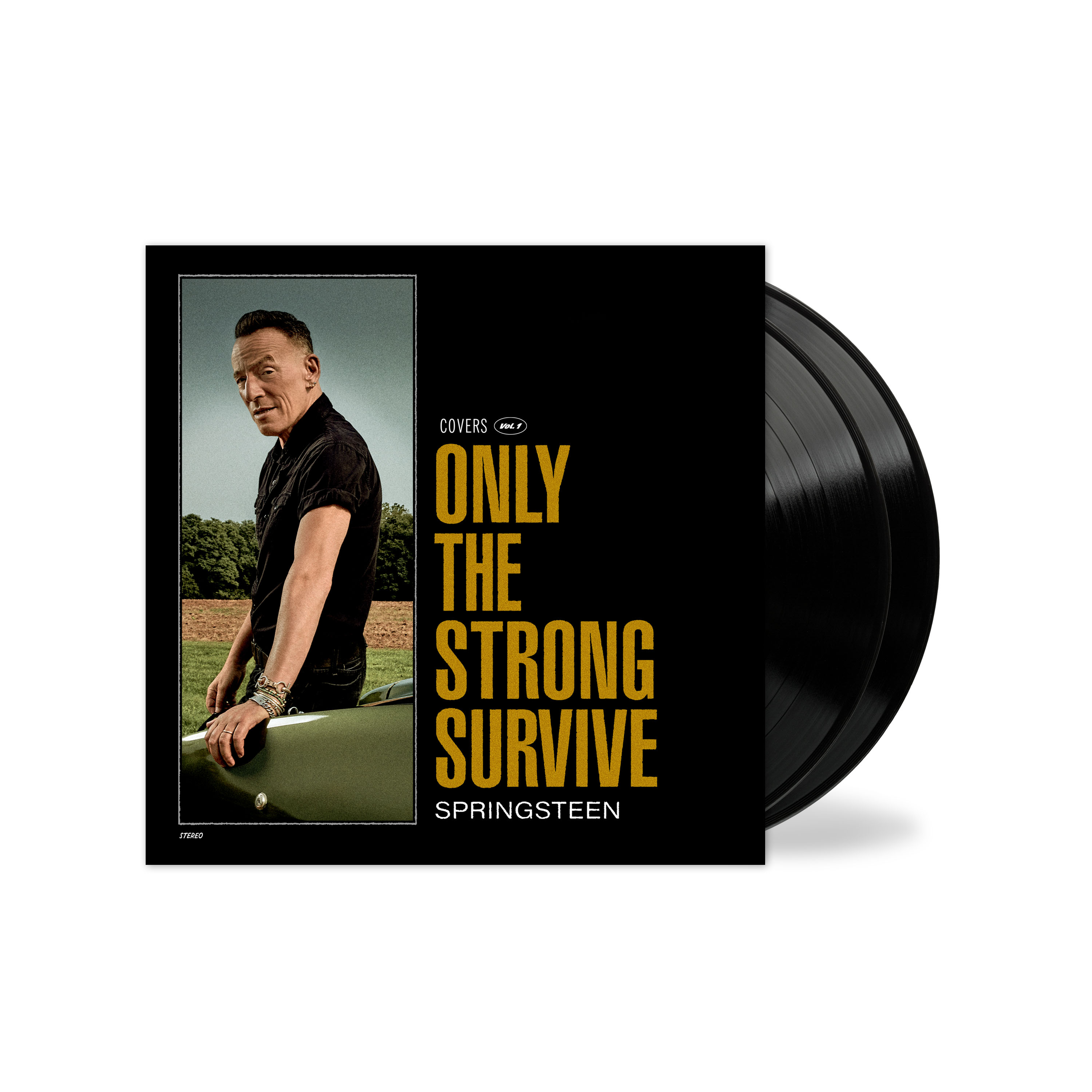 Bruce Springsteen Only Survive - - (Vinyl) Strong the