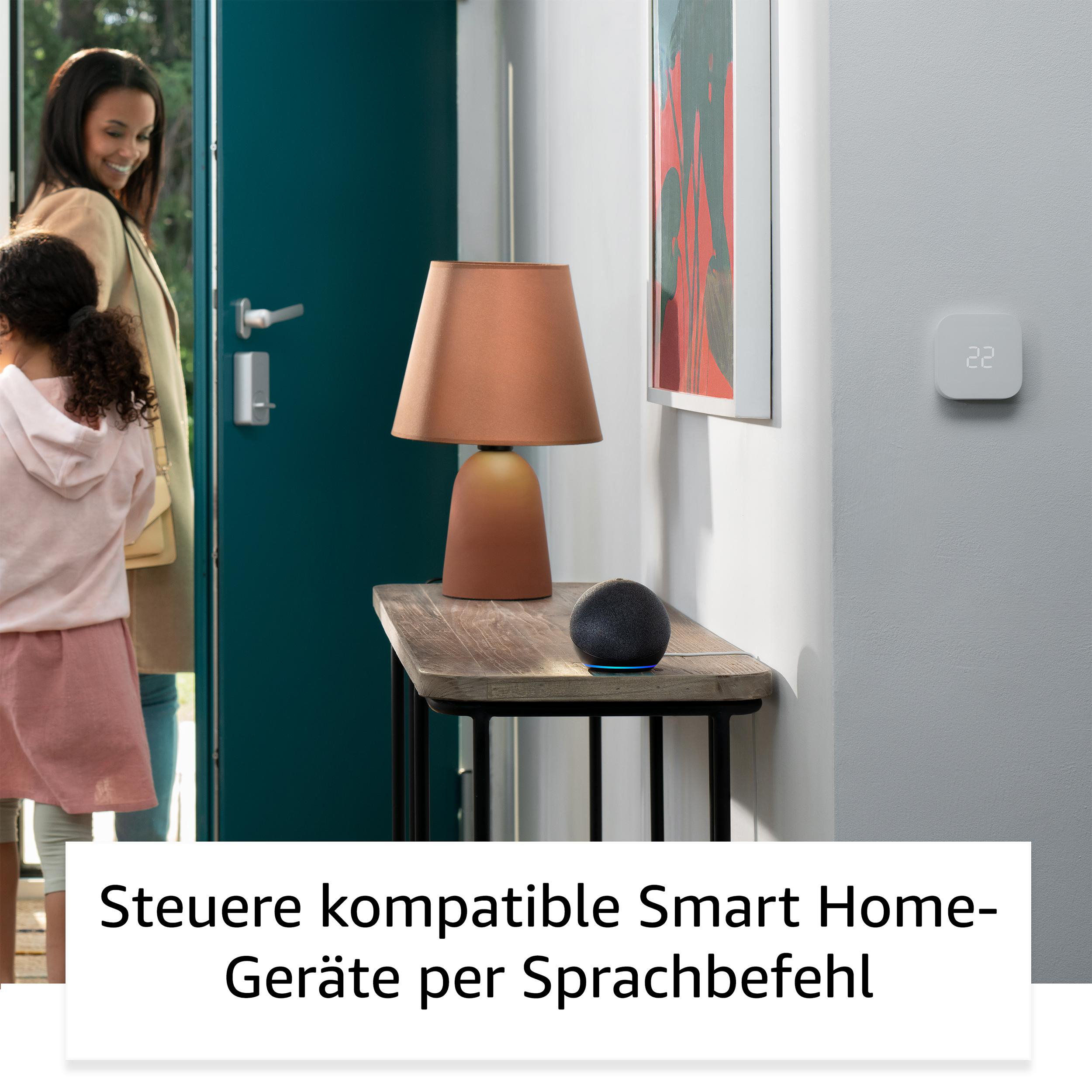 Frau und Mädchen betreten ein Haus. Eine Lampe und Smart Home Hub auf dem Tisch.