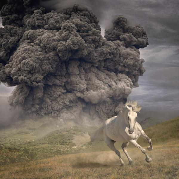 The - Dark Buffalo Horse Of White Year - The (Vinyl)
