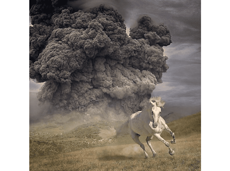 The White Buffalo - Year - Of Horse Dark The (Vinyl)
