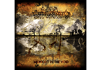 Dark Millenium - Midnight In The Void (Vinyl LP (nagylemez))