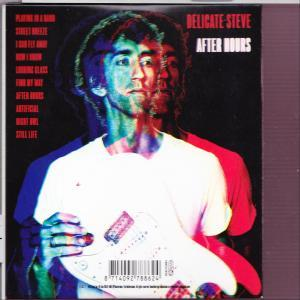 Delicate Steve - After Hours  - (CD)