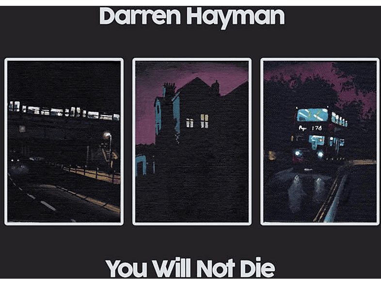 Will You Hayman - Not Die - (Vinyl) Darren
