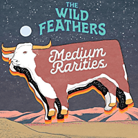 The Wild Feathers - Medium Rarities  - (Vinyl)