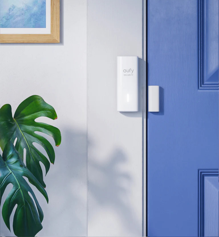 Een wit slimme beveiligingsapparaat voor in huis gemonteerd op een muur naast een blauwe deur en een groene plant.
