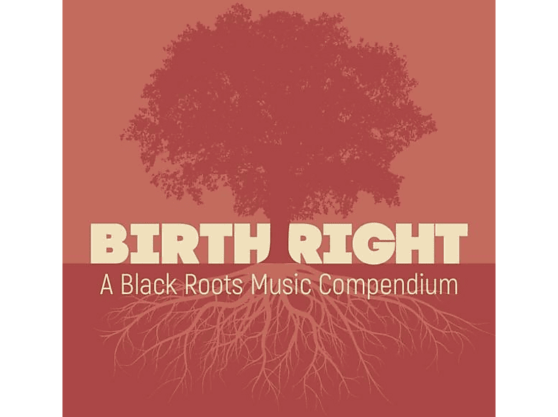 Birthright: A Black Roots Music Compendium (CD)