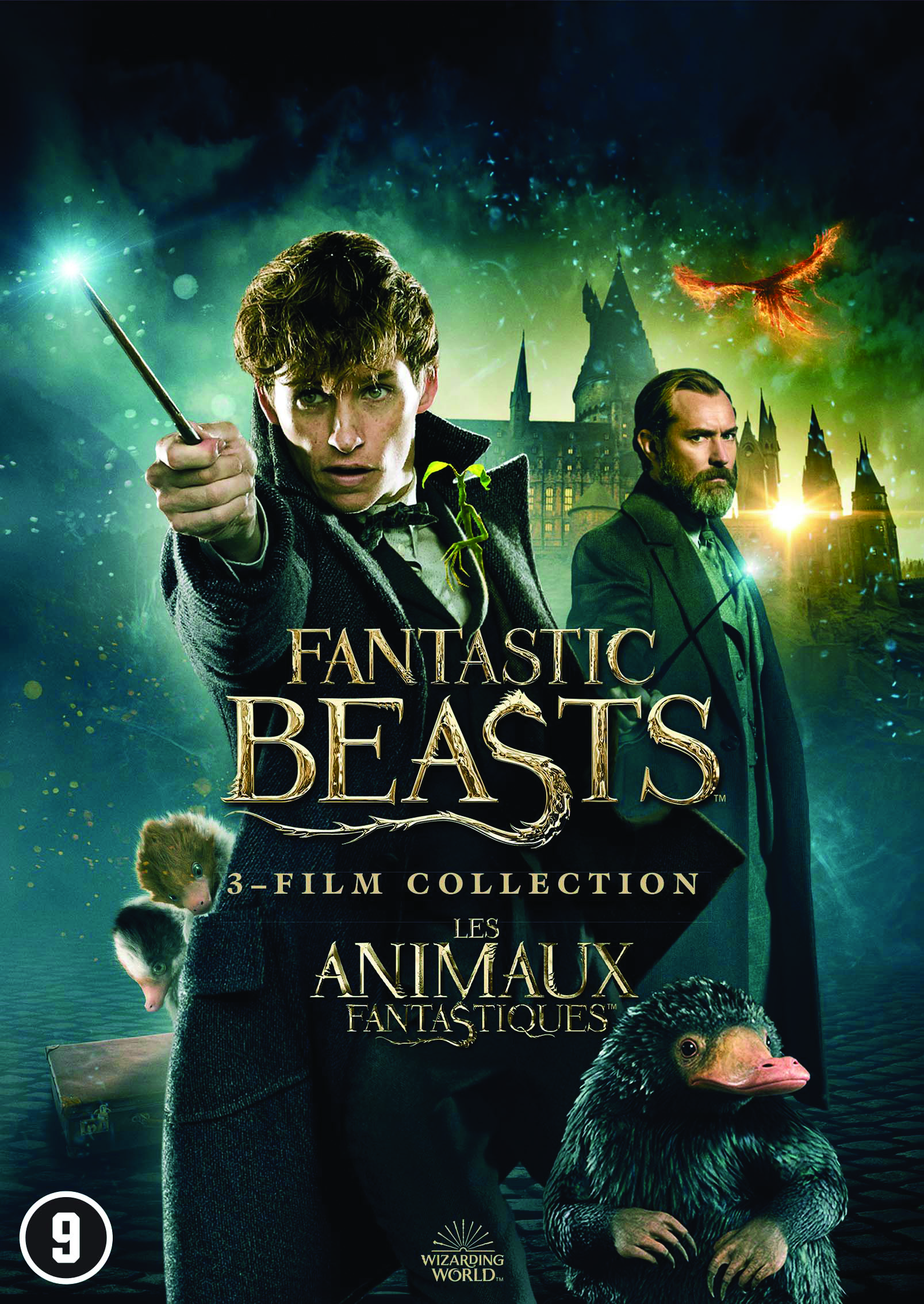 Fantastic Beasts filmcover. Newt Scamander met toverstaf en twee wezens.