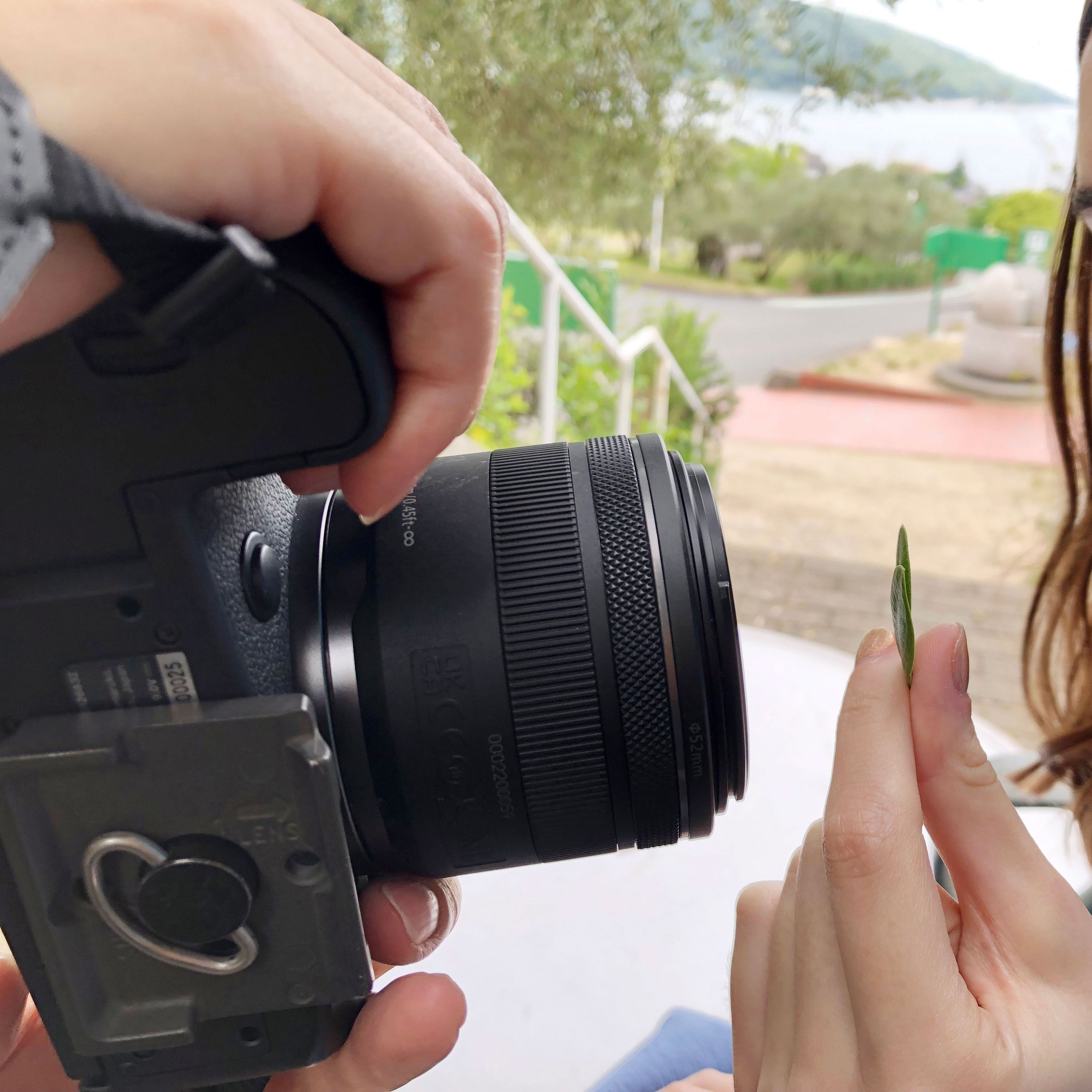 Una persona tiene in mano una fotocamera e fotografa una piccola foglia verde.