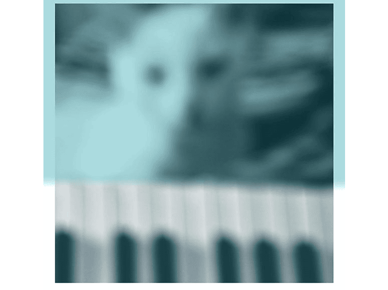 Peter Broderick - Piano Tucker\'s In (Floating Works - 1 Basement) (Vinyl)