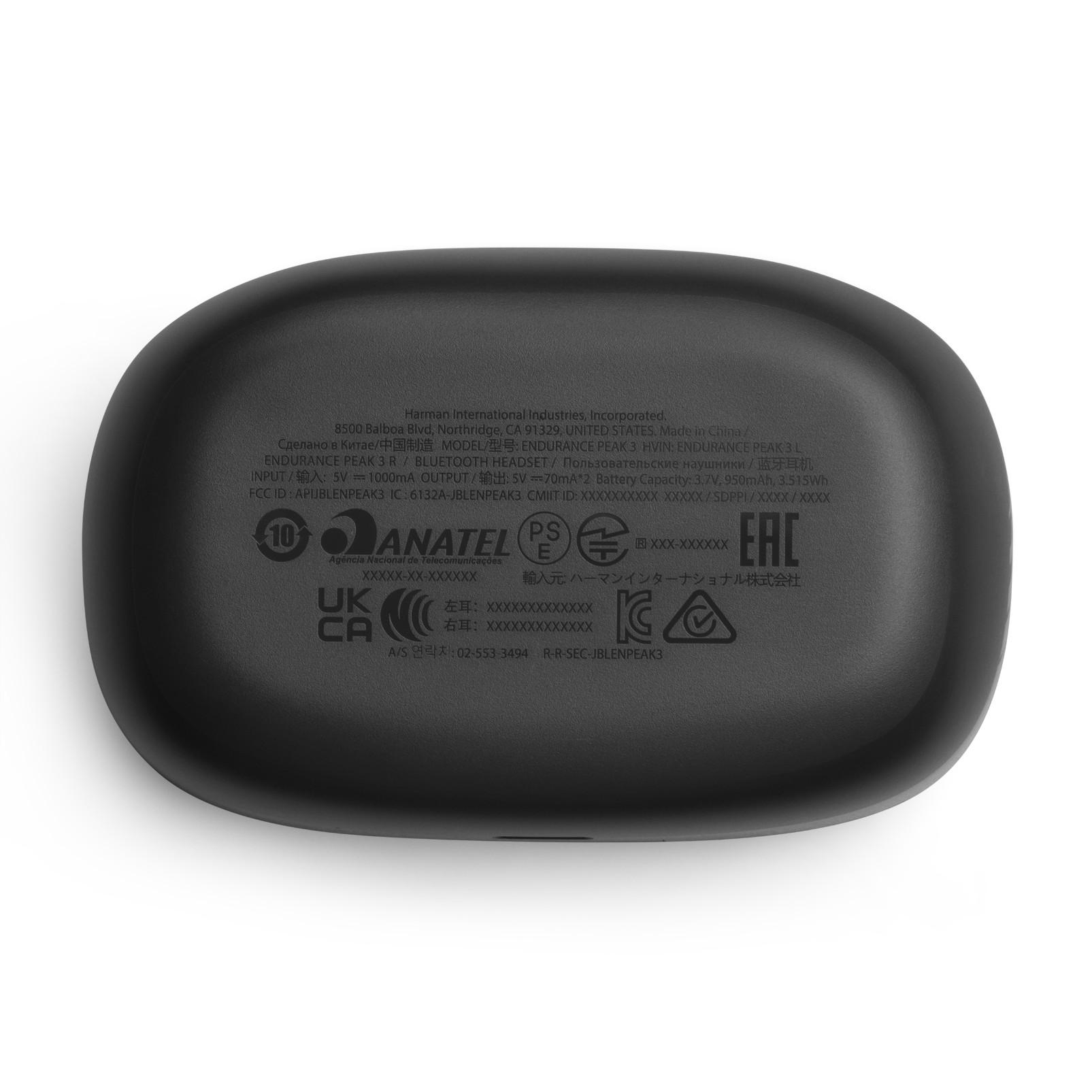 Schwarzes kabelloses Ohrhörer-Etui mit Text und Logos auf der Unterseite.