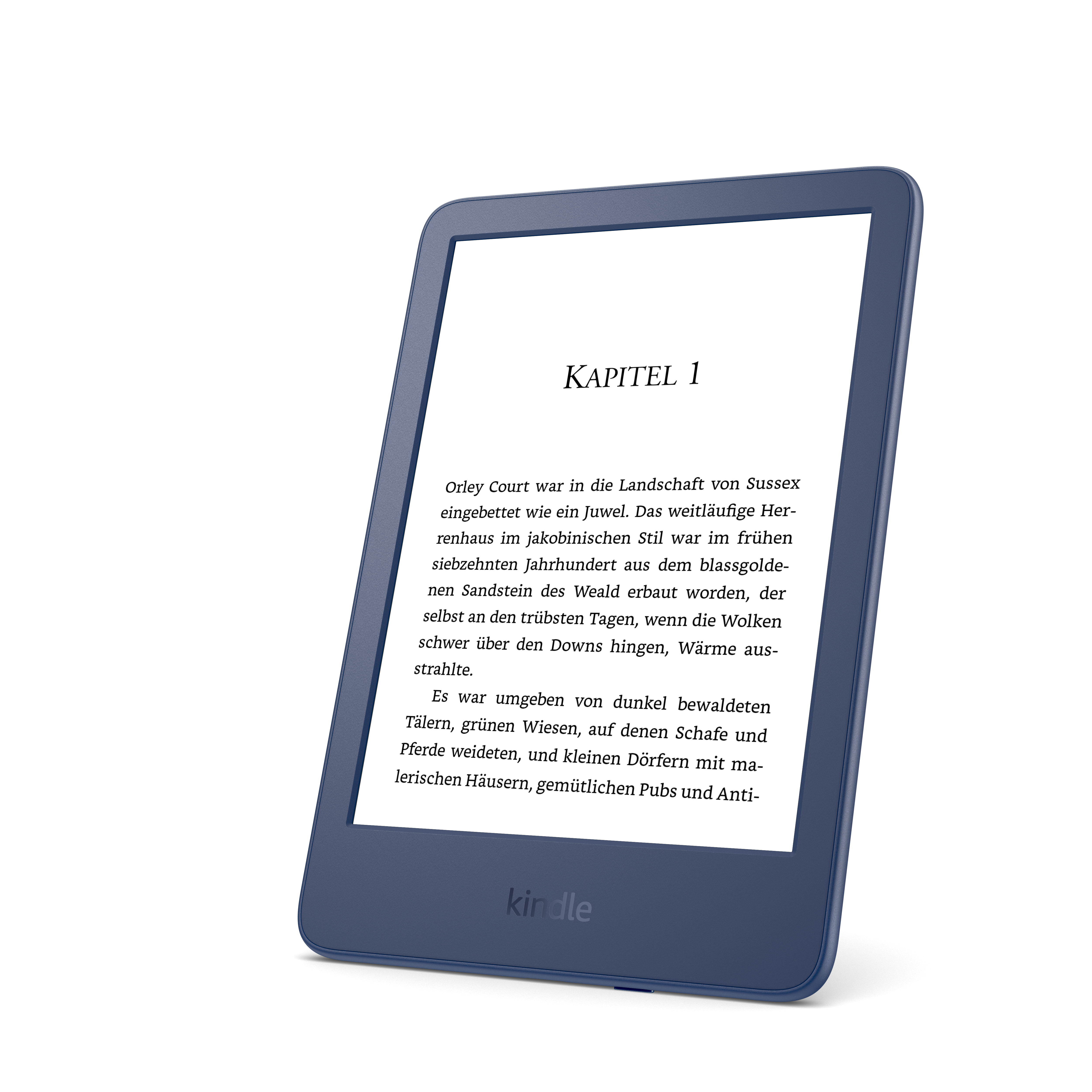 Ein blaues Kindle E-Book-Lesegerät, das Text auf seinem Bildschirm anzeigt.