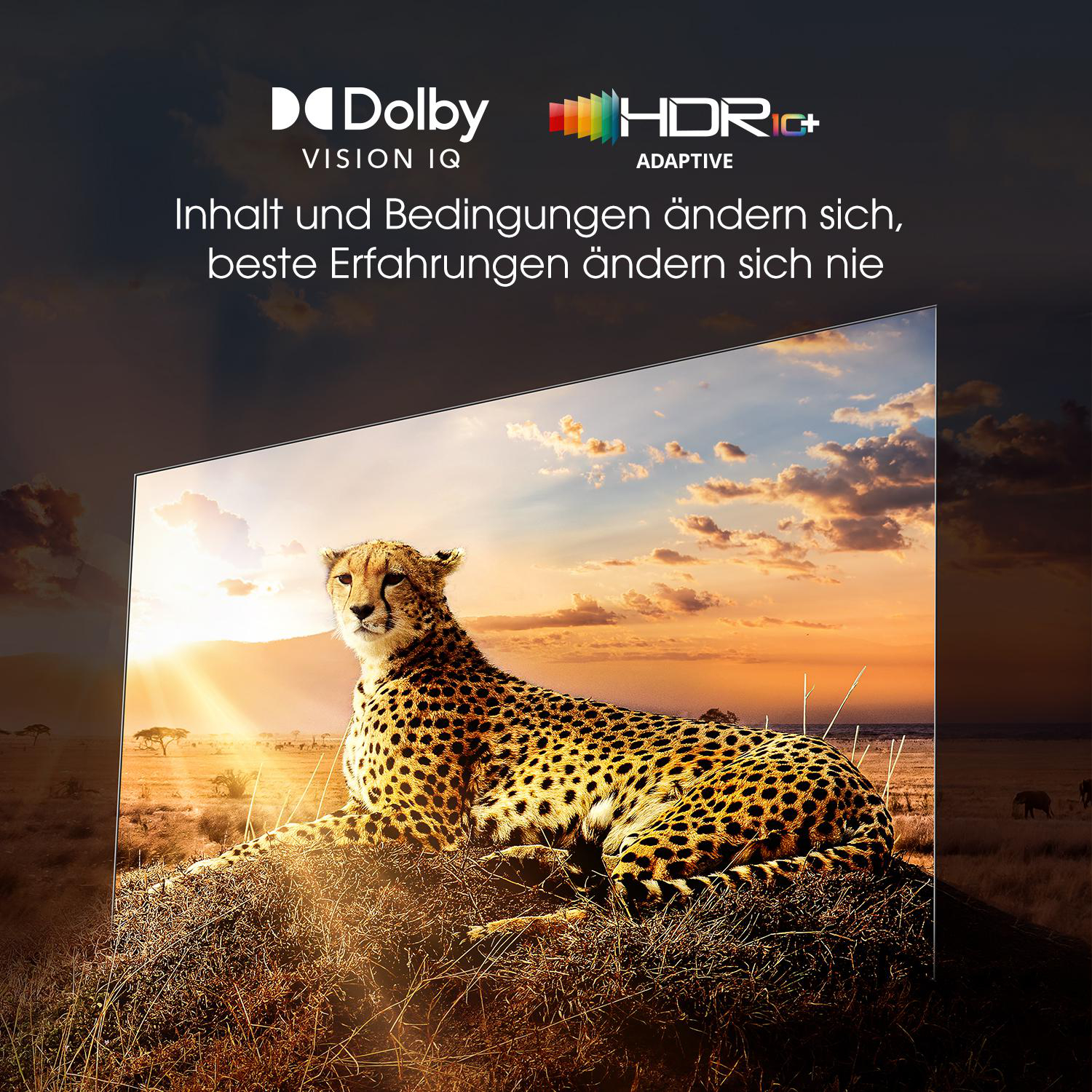 HISENSE 48A85H OLED TV (Flat, 48 Zoll / 123 cm, OLED 4K, SMART TV, VIDAA U6)