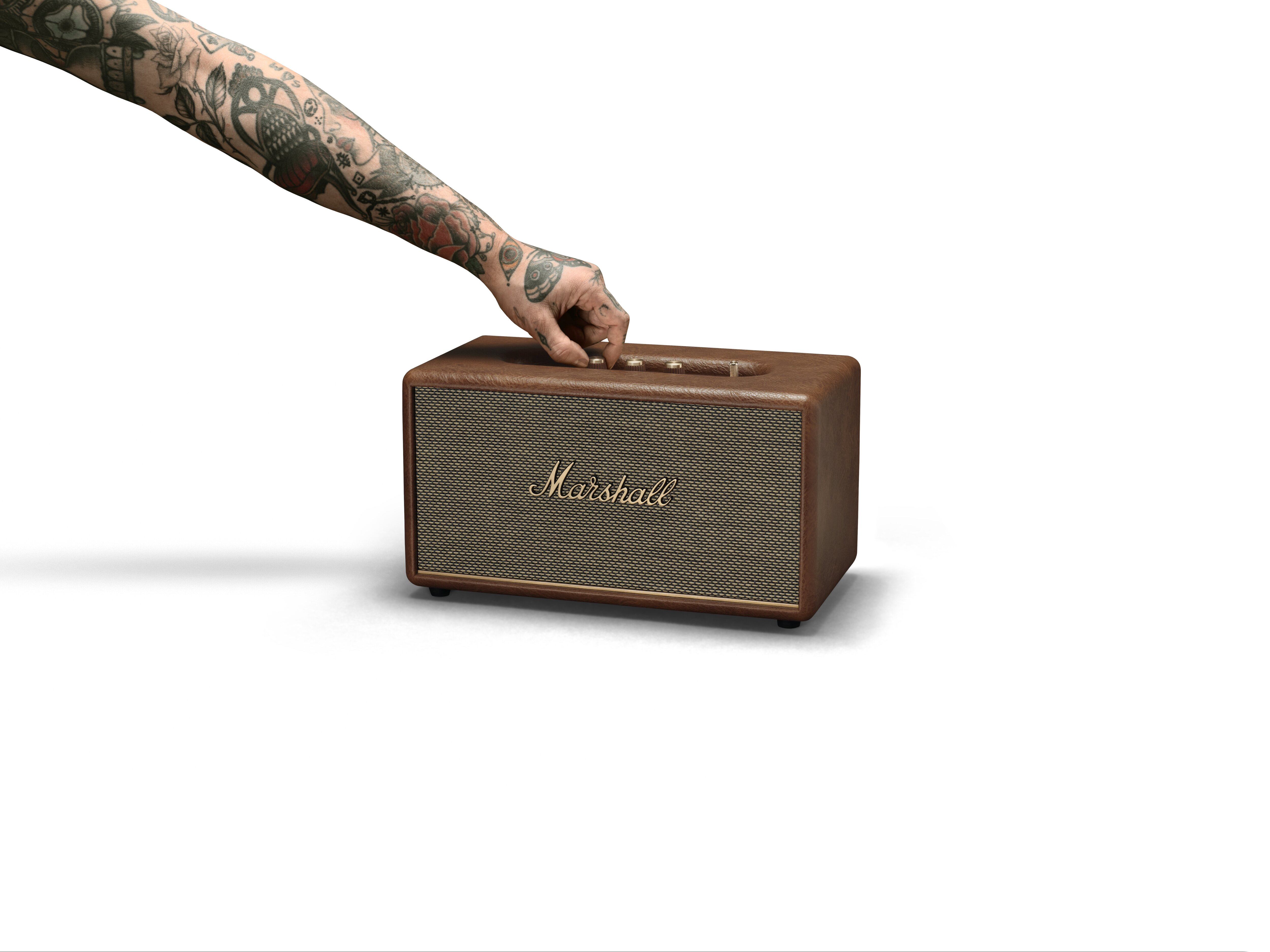 Tätowierter Arm, der den Lautstärkeregler an einem braunen Marshall-Lautsprecher einstellt.
