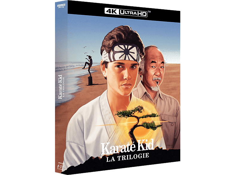 Karate Kid: Trilogy (4K Blu-ray)