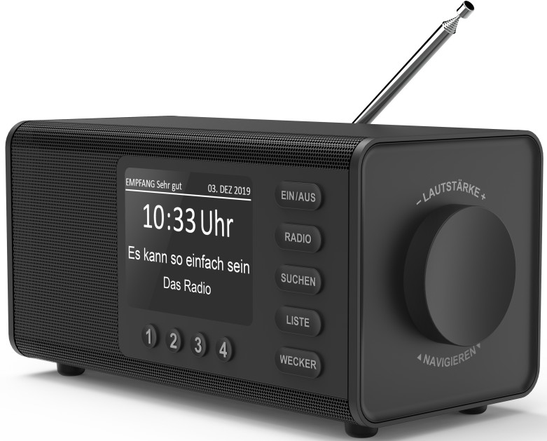 HAMA Radio numérique DAB+/ FM DR1000 Noir (00054897)