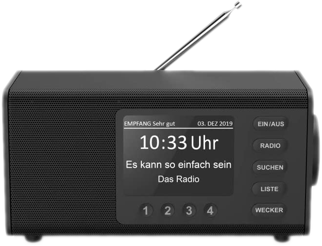 HAMA Radio numérique DAB+/ FM DR1000 Noir (00054897)
