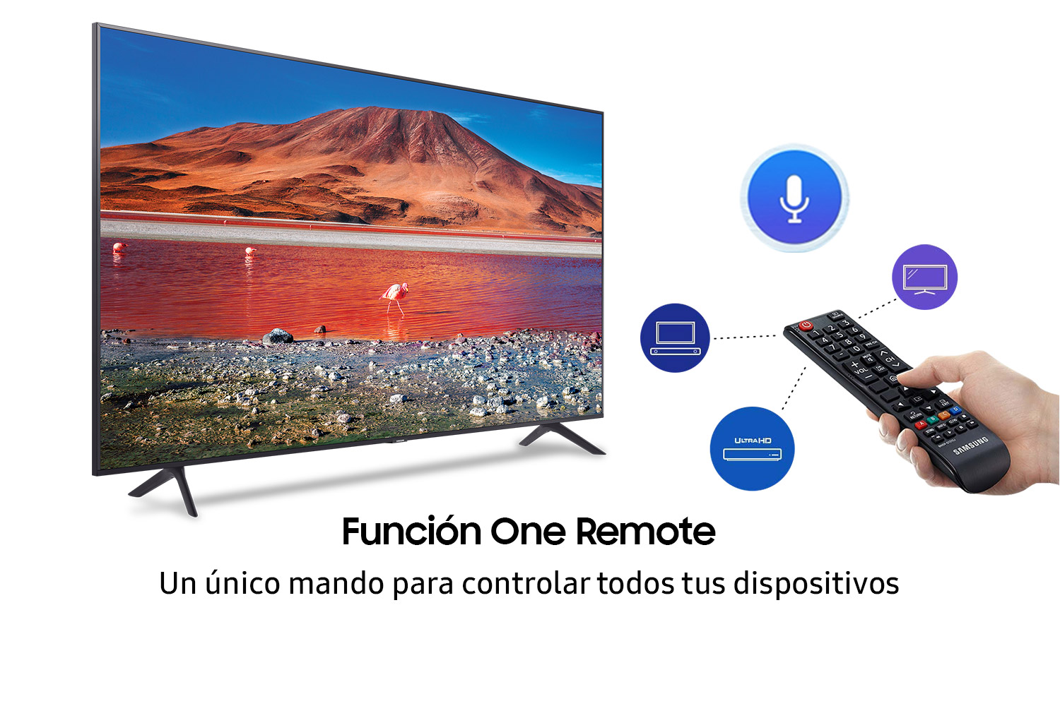 TV con mando a distancia. Muestra lago y montañas. Texto: One Remote Function.