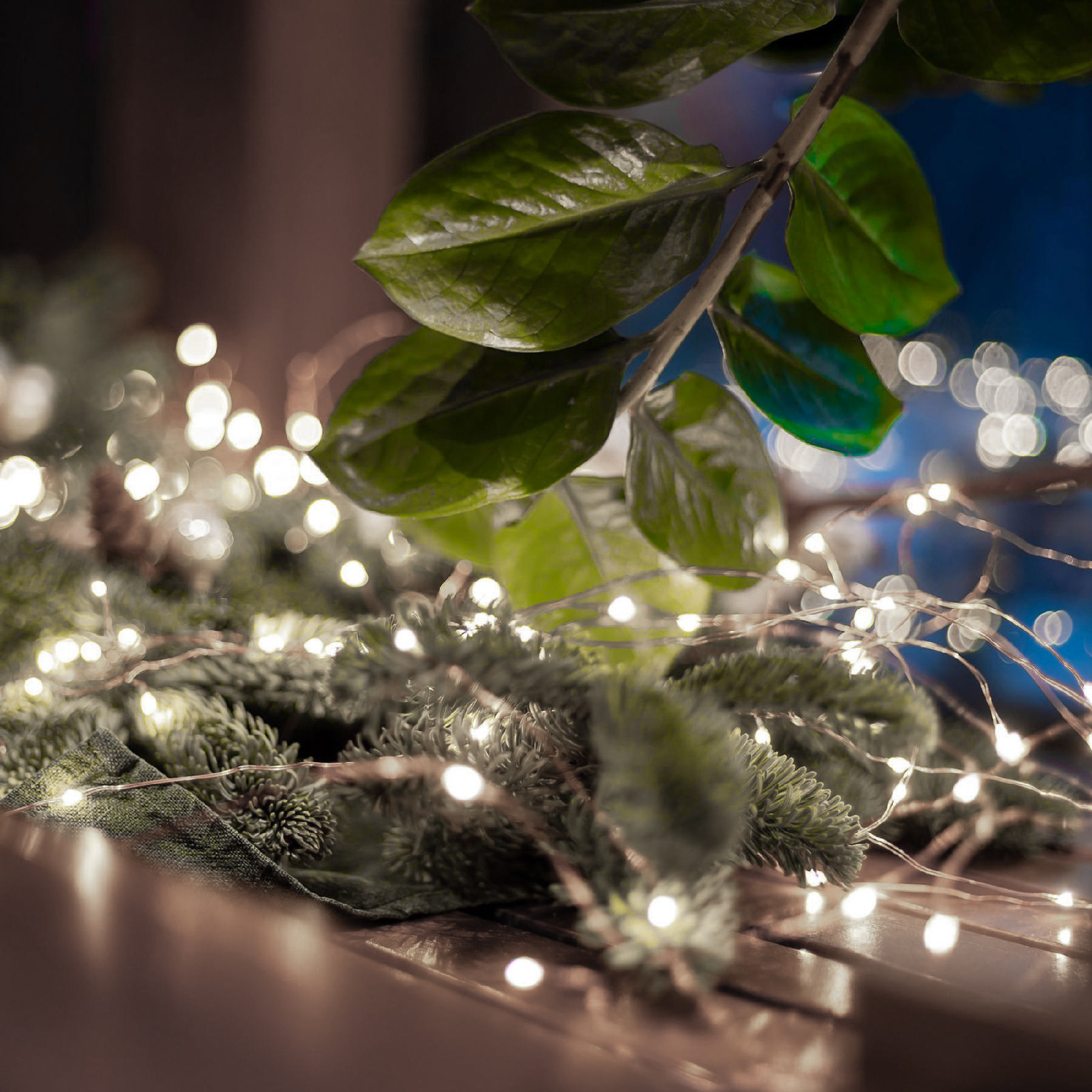 Karácsonyi fények közelről fenyőágakon zöld levelekkel. Bokeh fények a háttérben.