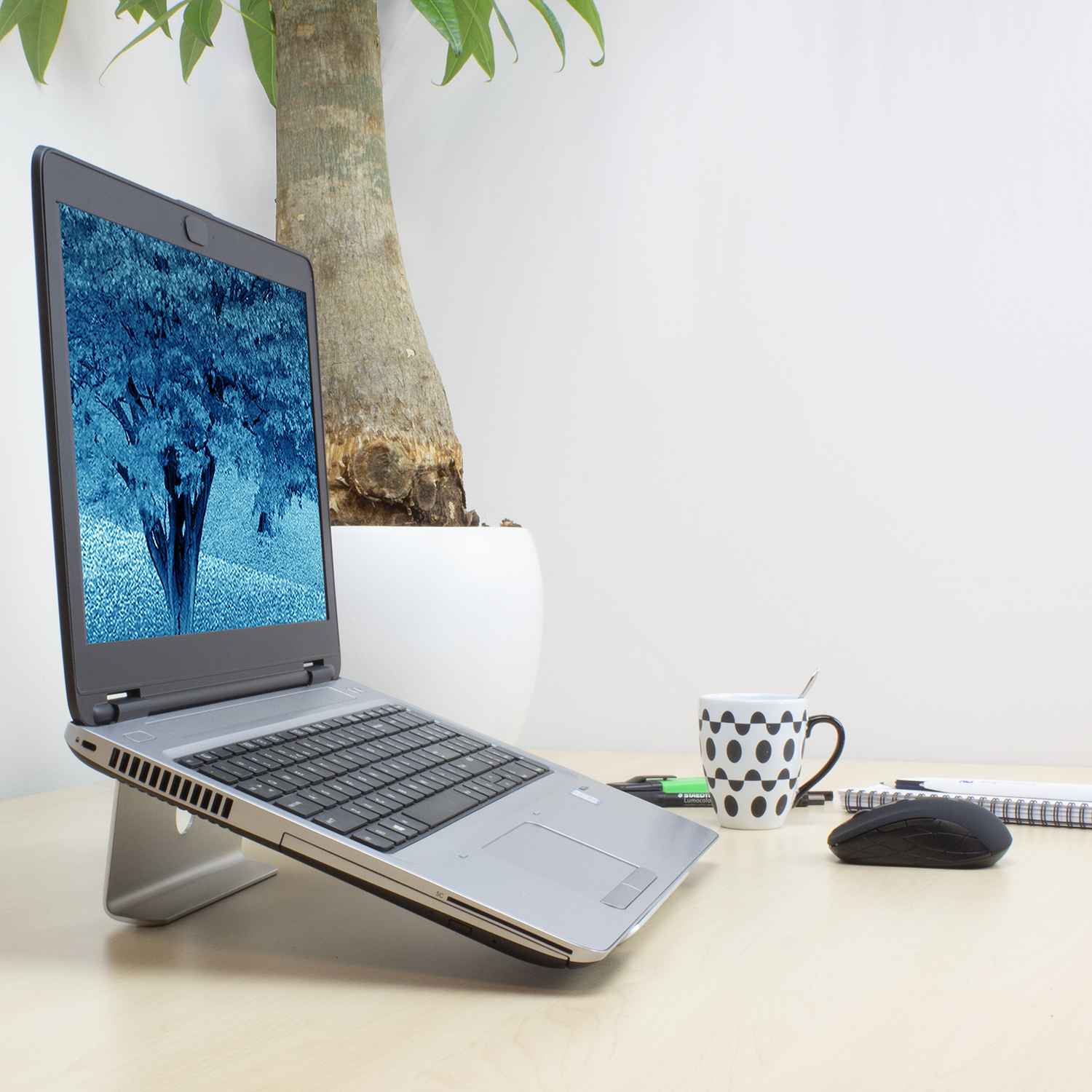 Laptop on a stand, a plant, a mug and other items on a desk.