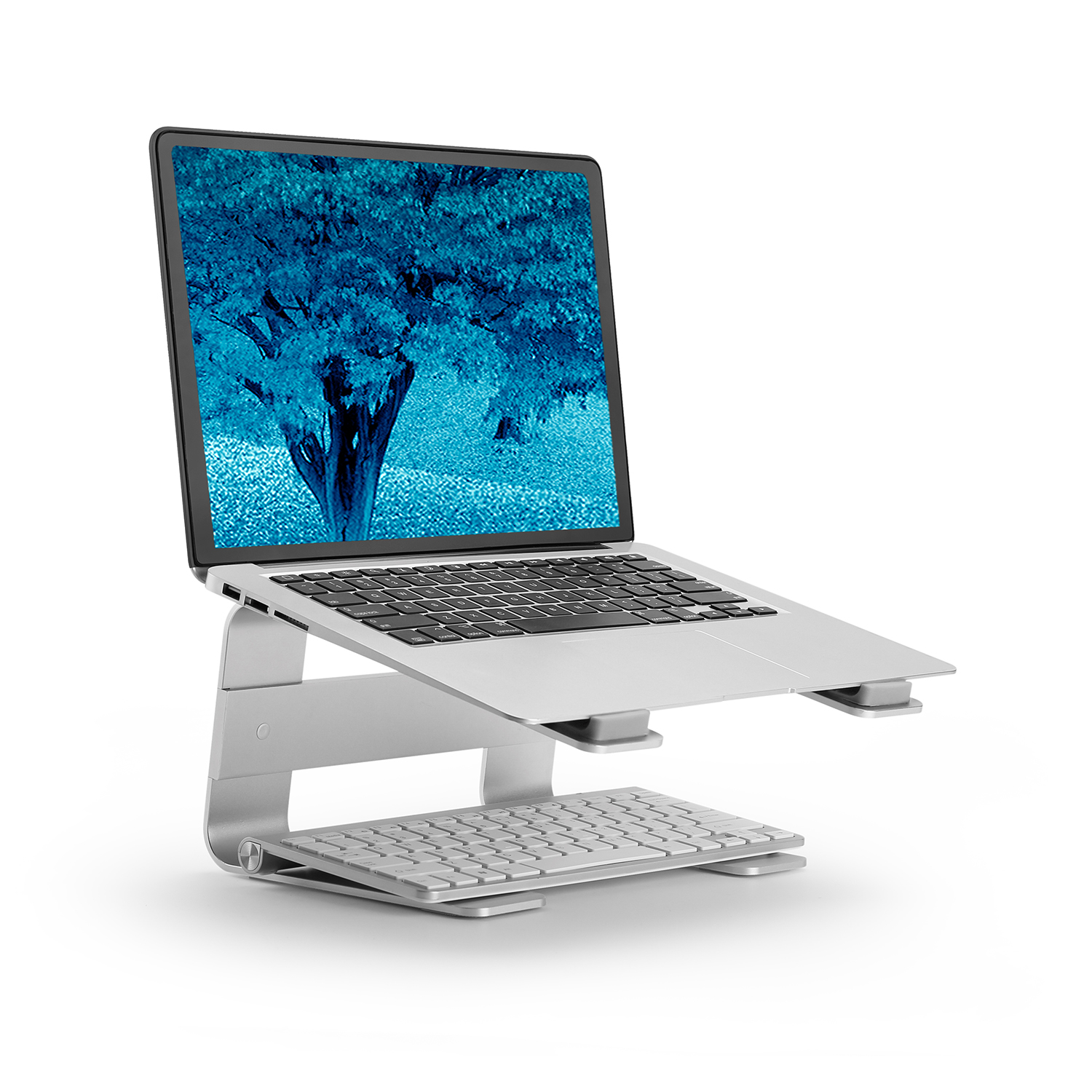 Laptop on a stand. Keyboard below, screen showing a tree image.