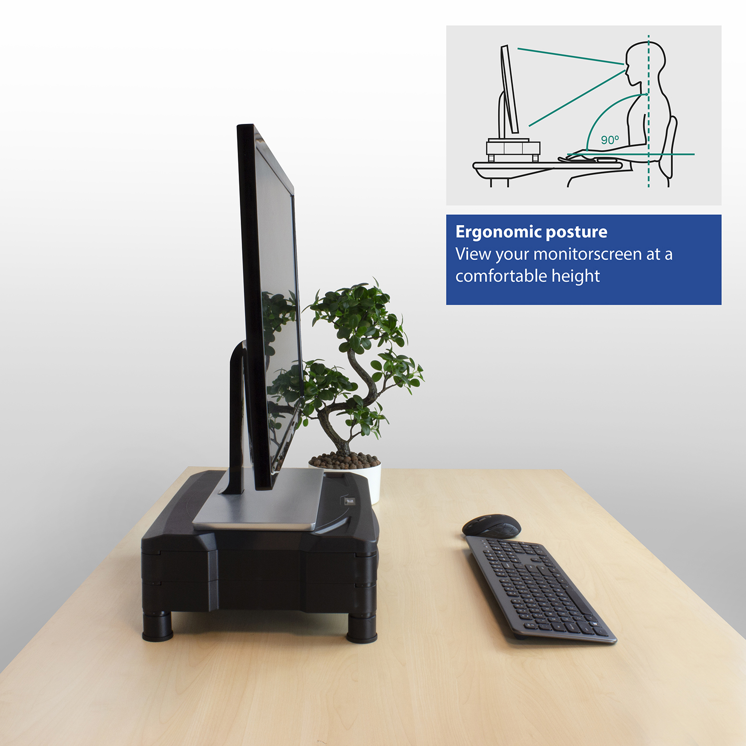A setup showing ergonomic posture: a monitor on a stand, keyboard, mouse, and a plant.