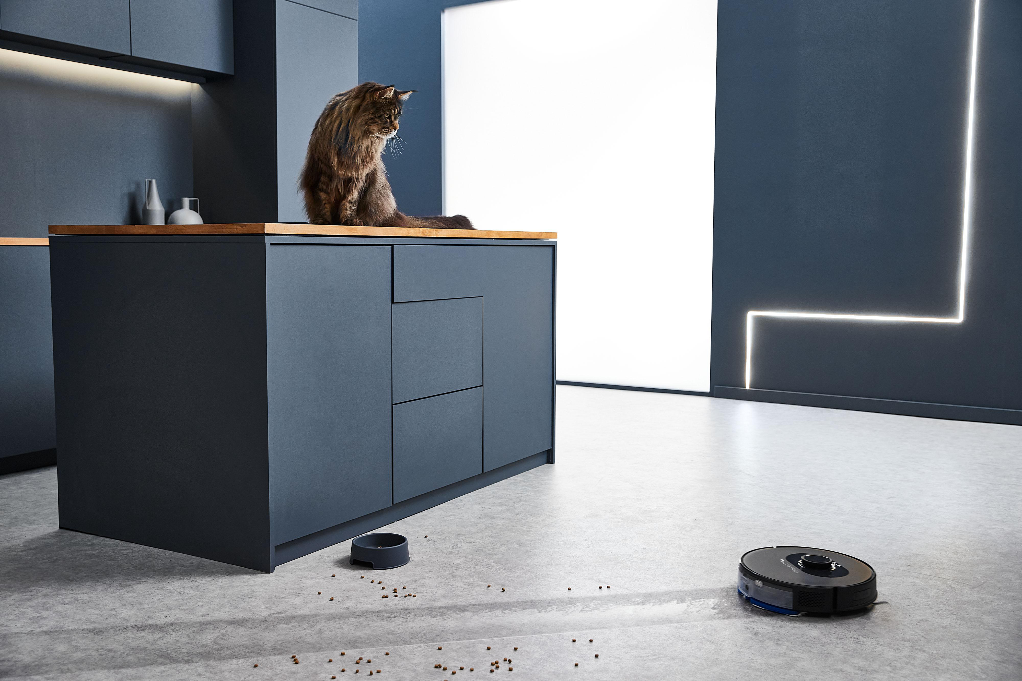 Eine Maine Coon Katze sitzt auf einer Küchentheke und betrachtet einen Roboterstaubsauger.