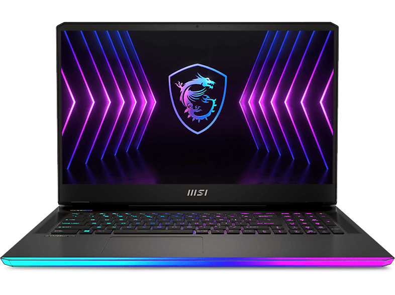 MSI Raider GE77 HX, Gaming Notebook, mit 17,3 Zoll Display, Intel® Core