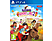 Horse CLub Adventure 2: Hazelwood Stories NL/FR PS4