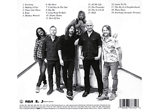 Foo Fighters - THE ESSENTIAL FOO FIGHTERS  - (CD)